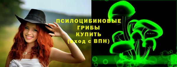 ГАЛЛЮЦИНОГЕННЫЕ ГРИБЫ Абинск