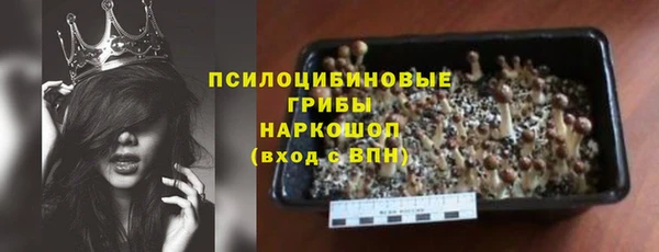 ГАЛЛЮЦИНОГЕННЫЕ ГРИБЫ Абинск