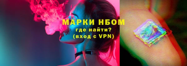 гидра Абаза