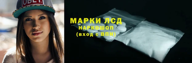 амф Алзамай