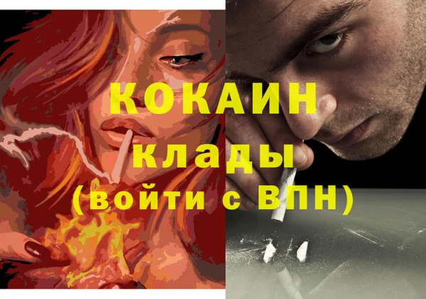 гидра Абаза