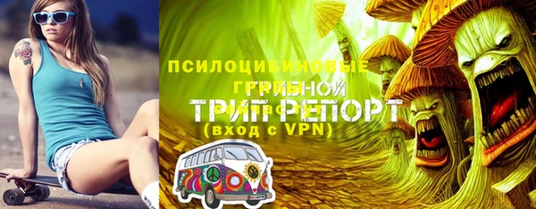 ПСИЛОЦИБИНОВЫЕ ГРИБЫ Алексин