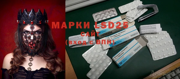 прущие грибы Алексеевка