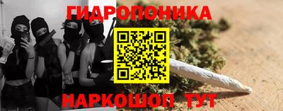 молекула духа Чебоксары