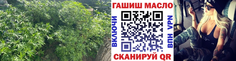 купить закладку  Норильск  ТГК вейп с тгк 
