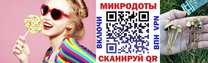 Псилоцибиновые грибы Psilocybine cubensis  Норильск 