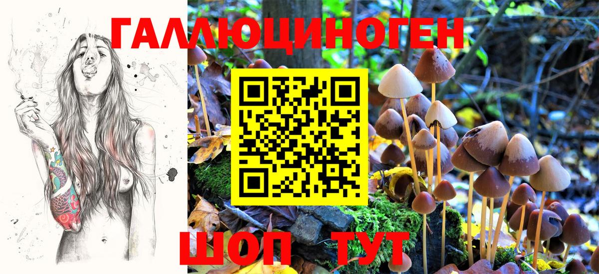 Галлюциногенные грибы ЛСД  Вход с VPN  Галлюциногенные грибы Cubensis  Норильск 